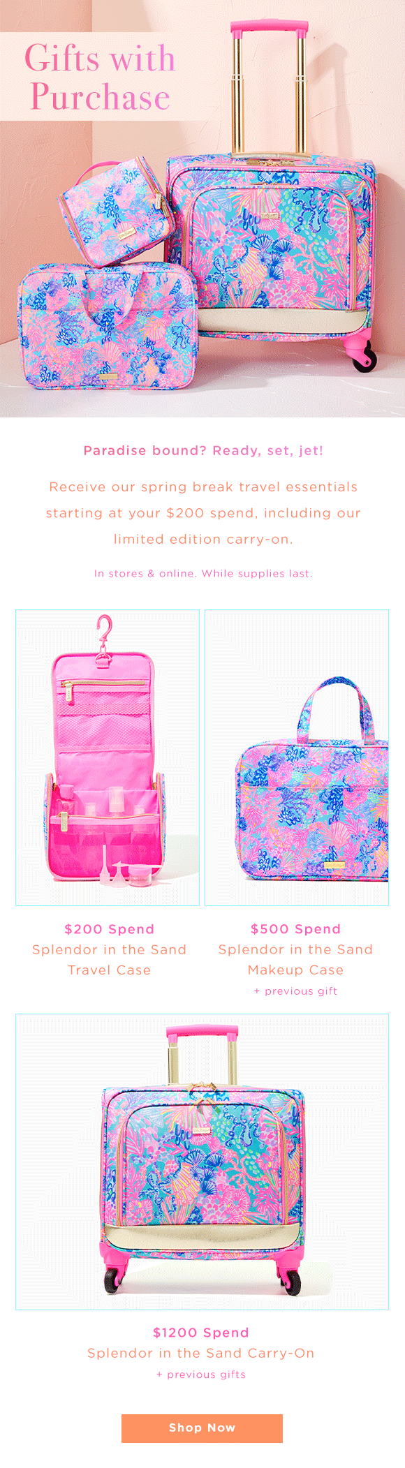 Lilly pulitzer travel online organizer